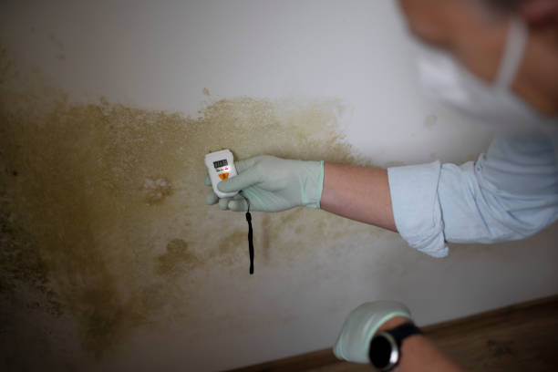 West Conshohocken, PA Mold Inspection, Removal & Remediation Company